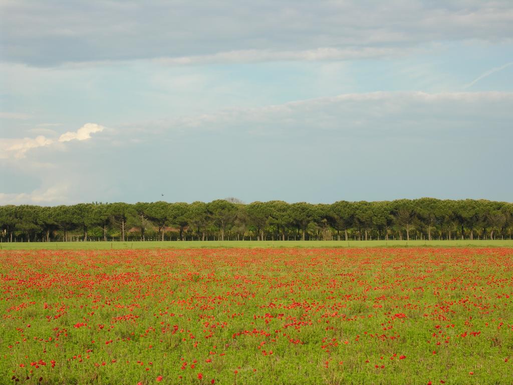 Appartamenti Villaggio San Siro Bibione Exterior foto